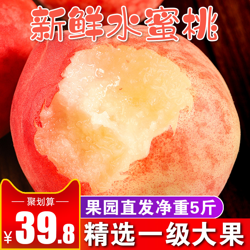 goods in stock fresh honey peach Net weight 5 pounds Peach Crisp pregnant woman fruit wholesale Season Wild peach Non oilin the Aquatic meat/Fresh fruits and vegetables/Cooked , Fresh fruit , Peach category - from Buy2taobao.com to provide professional Taobao agent buy service