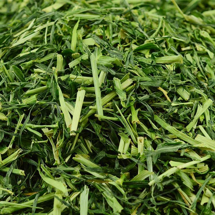 烘幹大麥草段寵物龍貓荷蘭豬兔子糧食6塊壹份60g 五份多省包郵在類目 寵物/寵物食品及用品, 兔類及其用品, 兔兔乾草中 - 來自Buy2taobao.com提供專業的淘寶代購服務