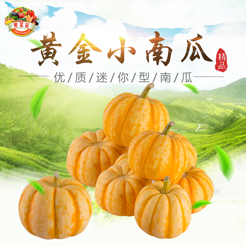 满2份减10元 满5份减20元新鲜迷你南瓜 金丝板栗黄金小南瓜3斤装在类目 水产肉类/新鲜蔬果/熟食, 新鲜蔬菜/蔬菜制品, 新鲜蔬菜, 其它中 - 来自Buy2taobao.com提供专业的淘宝代购服务