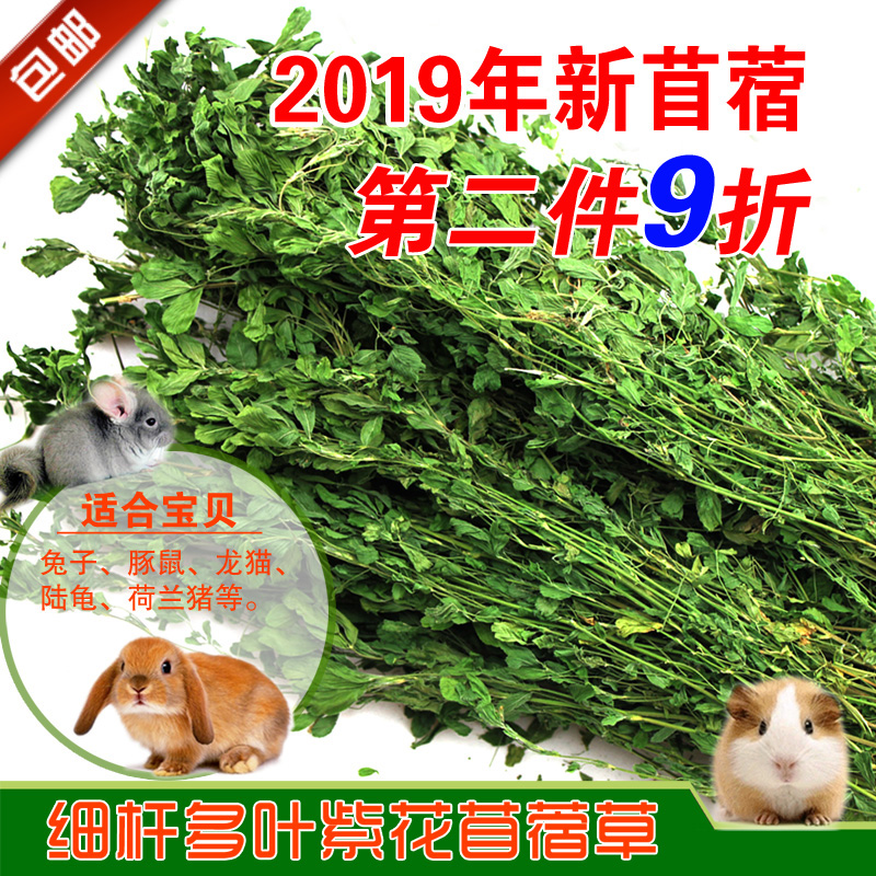 包邮19年优质紫花苜蓿草新草兔子龙猫豚鼠烘干牧草毛重1公斤在类目 宠物/宠物食品及用品, 兔类及其用品, 兔兔干草中 - 来自Buy2taobao.com提供专业的淘宝代购服务