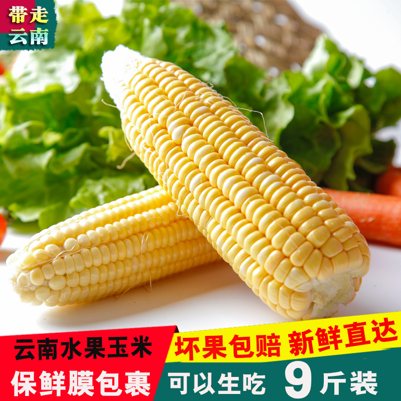 云南水果玉米棒 甜玉米新鲜9斤包邮现摘现发即食生吃鲜嫩甜脆爆浆|ruв категории водной мясо/свежие фрукты и овощи/еда, свежие овощи/овощной продукции, свежие овощи, свежая кукуруза - от Buy2taobao.com для оказания профессиональной услуги покупки агента Taobao