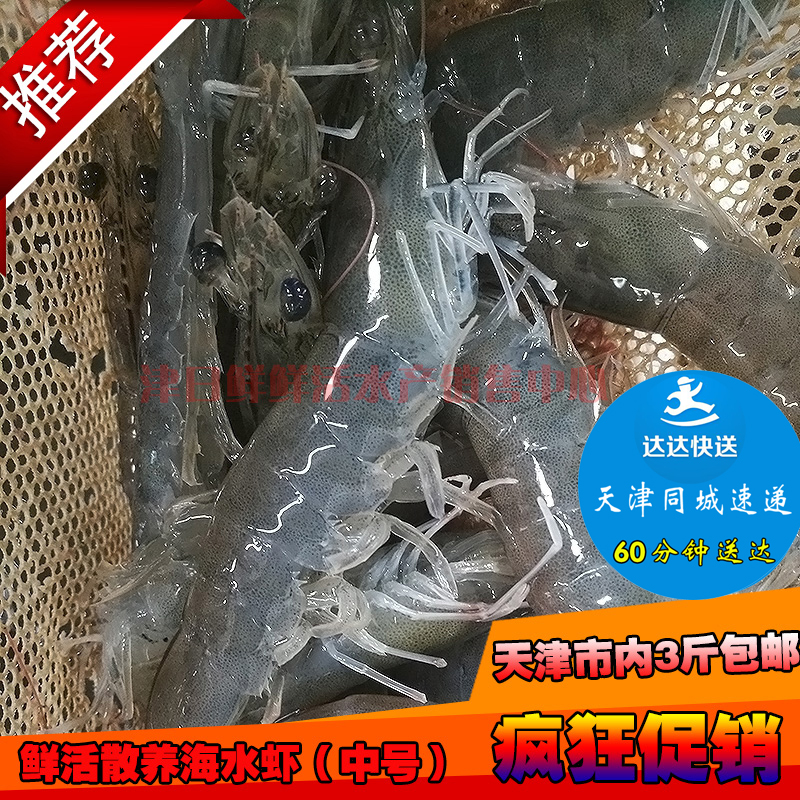 天津海虾鲜活青虾对虾野生中号海水基围虾小龙虾同城海鲜3斤包邮在类目 水产肉类/新鲜蔬果/熟食, 海鲜/水产品/制品, 虾类, 活虾中 - 来自Buy2taobao.com提供专业的淘宝代购服务