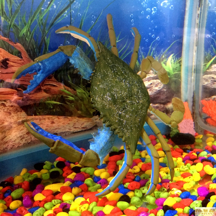 American toys Safari quality goods Marine organisms Model doll Cool kulong toys Spot Specialsin the Toy/Childs/Puzzle/Building block/Model , Simulation/Play house toys , Simulation/Animal dolls category - from Buy2taobao.com to provide professional Taobao agent buy service