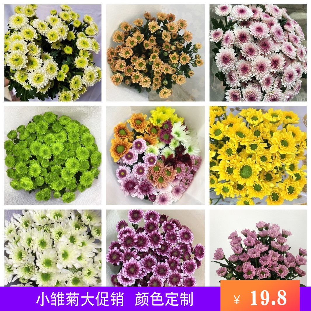 新鮮鮮花小雛菊迷妳菊家庭辦公室會議插花花束速遞雲南空運包郵在類目 鮮花速遞/花卉仿真/綠植園藝, 鮮花速遞(同城)中 - 來自Buy2taobao.com提供專業的淘寶代購服務