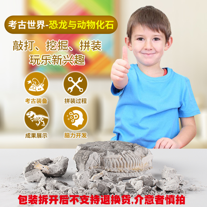 恐龙化石骨架拼装考古挖掘玩具儿童益智手工创意DIY模型67-14周岁|ruв категории игрушка/коляска/головоломка/блоки/модель, ручной/творческие diy, Другие вручную - от Buy2taobao.com для оказания профессиональной услуги покупки агента Taobao