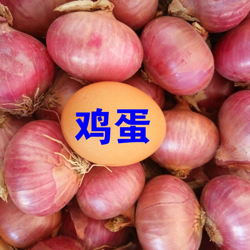 新正宗东北毛葱2500g 干毛葱朱葱鬼子葱 小新鲜洋葱红洋圆辣葱头在类目 水产肉类/新鲜蔬果/熟食, 新鲜蔬菜/蔬菜制品, 新鲜蔬菜, 其它中 - 来自Buy2taobao.com提供专业的淘宝代购服务