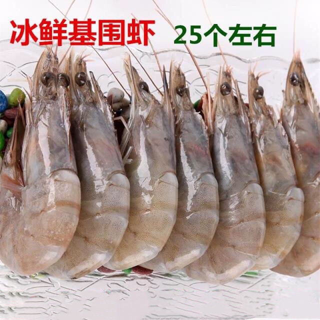 新品鲜虾4050冻虾野生对虾新鲜鲜海虾活虾白虾大虾 基围虾500g|msdalam kategori daging perikanan/Buah-buahan segar dan sayur-sayuran/dimasak, makanan laut/produk akuatik/produk, udang, udang beku - dari Buy2taobao.com untuk memberikan perkhidmatan ejen Taobao profesional membeli