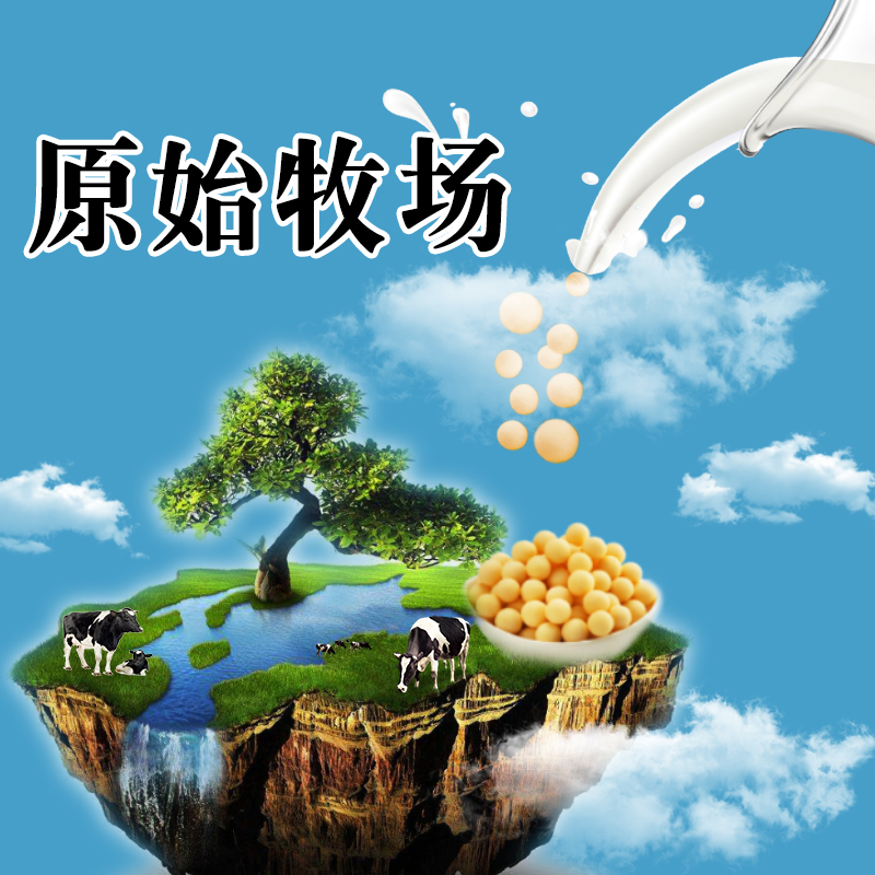 蒙滋然奶豆豆內蒙古特産牛奶泡手工酸奶乳粒球孕婦兒童辦公室零食在類目 零食/堅果/特產, 奶酪/乳製品/, 內蒙古奶酪中 - 來自Buy2taobao.com提供專業的淘寶代購服務