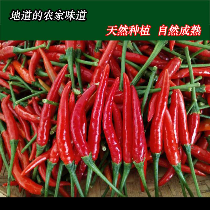 湖南新鲜辣椒小米椒超辣土红椒朝天椒小尖椒小米七星椒3斤装包邮在类目 水产肉类/新鲜蔬果/熟食, 新鲜蔬菜/蔬菜制品, 新鲜蔬菜, 其它中 - 来自Buy2taobao.com提供专业的淘宝代购服务