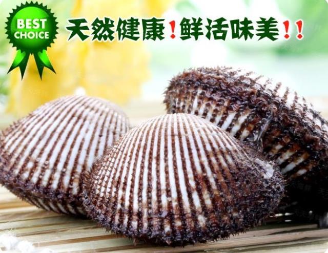 鲜活新鲜连云港特产海鲜新鲜毛蛤蜊毛蜊毛哈毛蚬鲜活贝类水产|msdalam kategori daging perikanan/Buah-buahan segar dan sayur-sayuran/dimasak, makanan laut/produk akuatik/produk, kerang, produk kerang - dari Buy2taobao.com untuk memberikan perkhidmatan ejen Taobao profesional membeli