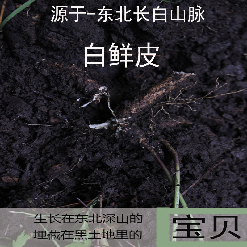 白鲜皮中药材 白鲜皮500克包邮 新货正品特级东北白鲜皮 干 野生|ruв категории традиционные питательный пища, гомологический продовольствия, медикаментов и продовольствия, съедобные продукты других наркотиков - от Buy2taobao.com для оказания профессиональной услуги покупки агента Taobao