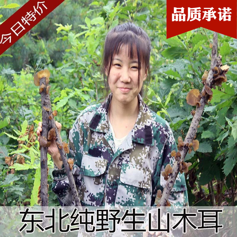 Northeast Hill fungus wild Super Heilongjiang specialty dried food wild Black fungus Pure natural Autumn fungus 250gin the Agri rice/Dried foods/Condiment , Dried foods/Meat Dry , Dry/Native , Black fungus category - from Buy2taobao.com to provide professional Taobao agent buy service