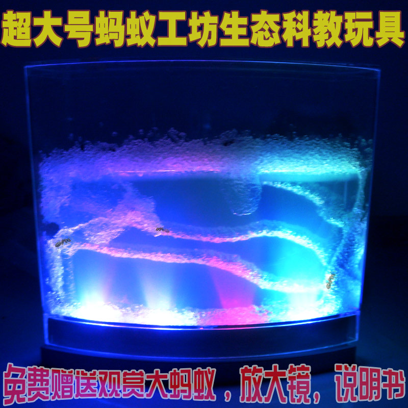 正品大号蚂蚁工坊窝 蚂蚁巢迷宫家园 科教玩具生日礼物城堡蚁后屋在类目 宠物/宠物食品及用品, 爬虫/鸣虫及其用品, 蚂蚁工坊中 - 来自Buy2taobao.com提供专业的淘宝代购服务