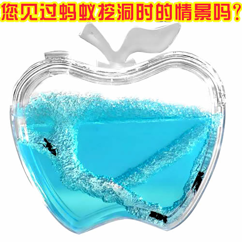 儿童益智玩具苹果蚂蚁乐园 蚂蚁工坊 幼儿园玩具蚂蚁窝蚁后送蚂蚁在类目 宠物/宠物食品及用品, 爬虫/鸣虫及其用品, 蚂蚁工坊中 - 来自Buy2taobao.com提供专业的淘宝代购服务