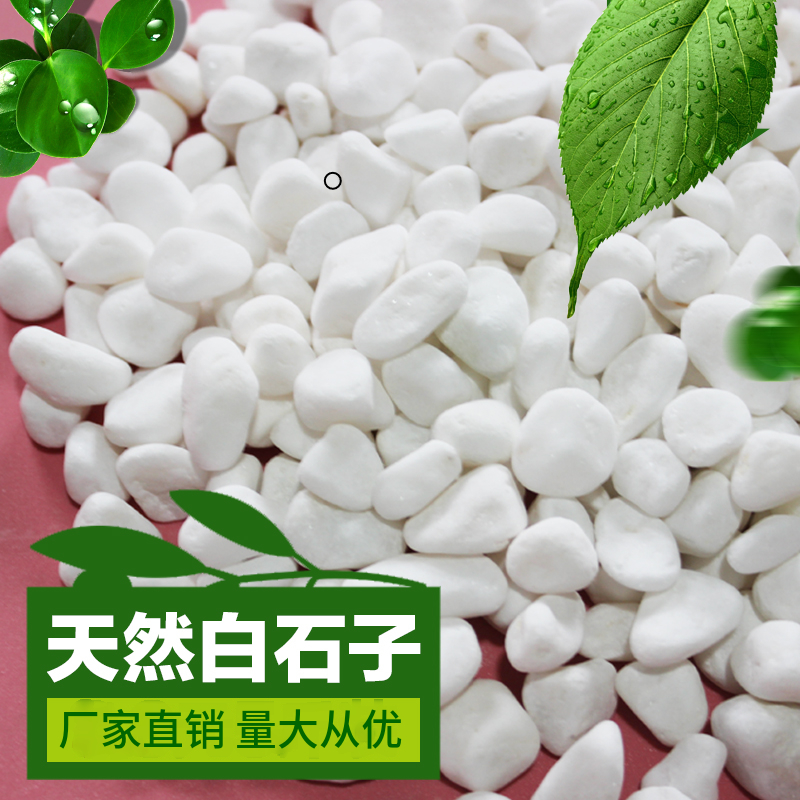 天然小白石子白玉石多肉园艺盆栽铺面造景庭院白色石头子鹅卵石在类目 鲜花速递/花卉仿真/绿植园艺, 园艺用品, 其它园艺用品中 - 来自Buy2taobao.com提供专业的淘宝代购服务