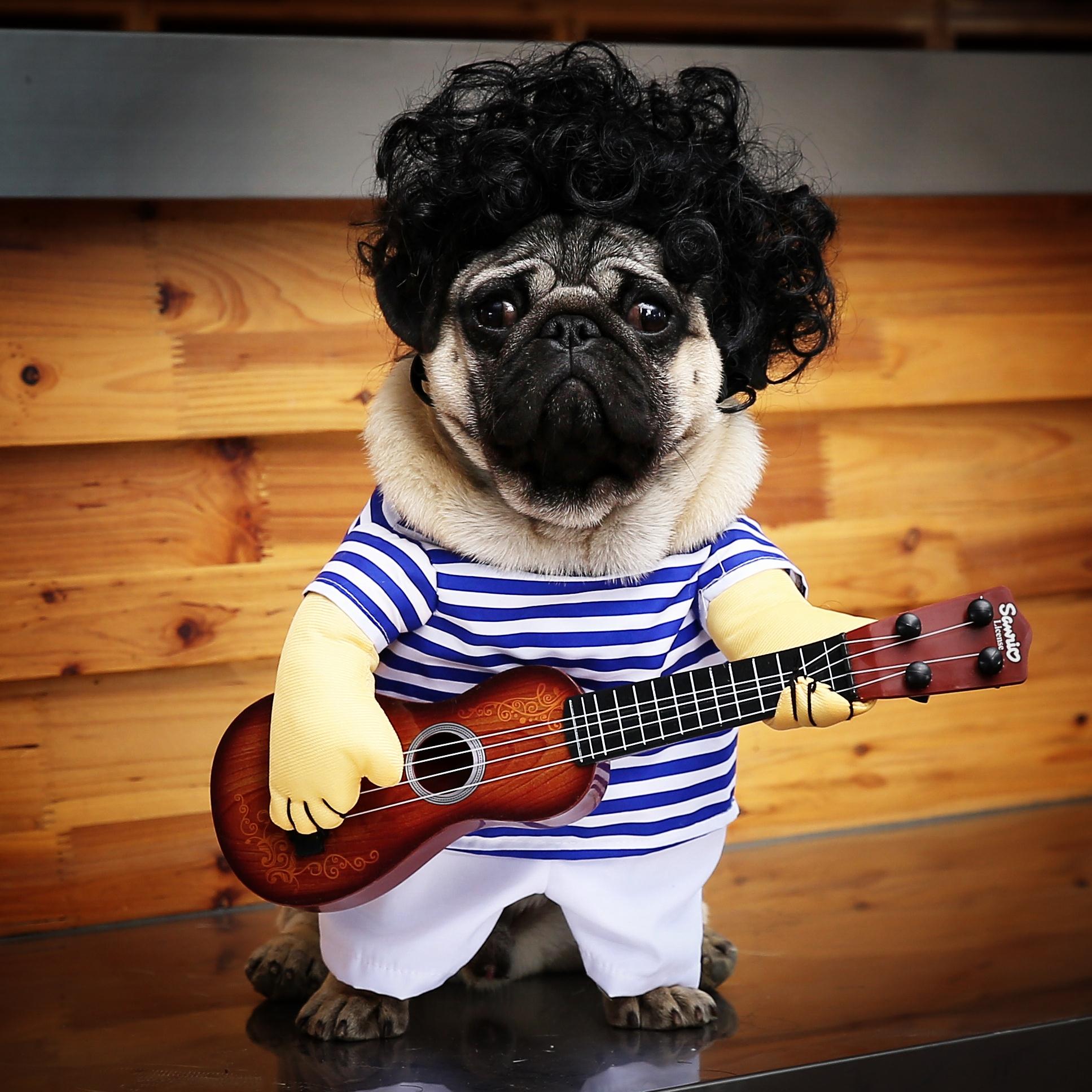 Pet dog Guitarist Transfiguration equipment Funny guitar clothing Pug Funny Guitar clothes Emperor Kittyin the Pet/Pet food and supplies , Pet apparel and accessories , Pet clothing/Raincoat category - from Buy2taobao.com to provide professional Taobao agent buy service