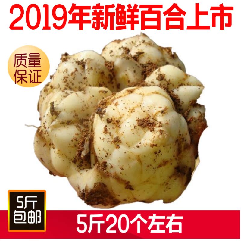 2019宜兴鲜百合5斤20个左右江浙沪5斤包邮宜兴食用百合农家特产在类目 粮油米面/南北干货/调味品, 南北干货/肉类干货, 干货/土特产, 百合干中 - 来自Buy2taobao.com提供专业的淘宝代购服务