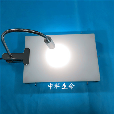 Mice Operating Table Rat Operating Table Mice Dissecting table Rat Dissecting table Small animals anatomy Fixed stationin the Hardware/Tool , Instrumentation , Other instrumentation category - from Buy2taobao.com to provide professional Taobao agent buy service