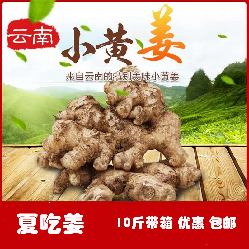 Yunnan yellow ginger Ginger, Moonberry and Ginger Ginger Old ginger fresh ginger 10 Belt boxin the Aquatic meat/Fresh fruits and vegetables/Cooked , Fresh vegetables/Vegetable products , Fresh vegetables , Other category - from Buy2taobao.com to provide professional Taobao agent buy service