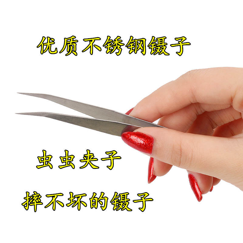 優質不鏽鋼鑷子 黃粉蟲面包蟲鑷子 夾子 優質夾子面包蟲工具在類目 寵物/寵物食品及用品, 爬蟲/鳴蟲及其用品, 爬蟲/鳴蟲食物中 - 來自Buy2taobao.com提供專業的淘寶代購服務