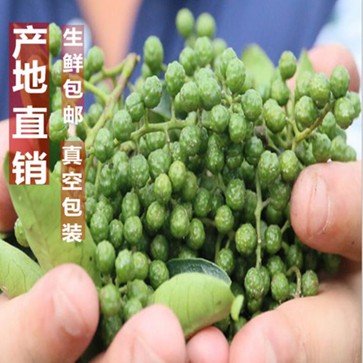 现摘农家新鲜花椒青花椒低价1斤包邮藤椒麻椒生鲜叶子土特产四川在类目 水产肉类/新鲜蔬果/熟食, 新鲜蔬菜/蔬菜制品, 新鲜蔬菜, 其它中 - 来自Buy2taobao.com提供专业的淘宝代购服务