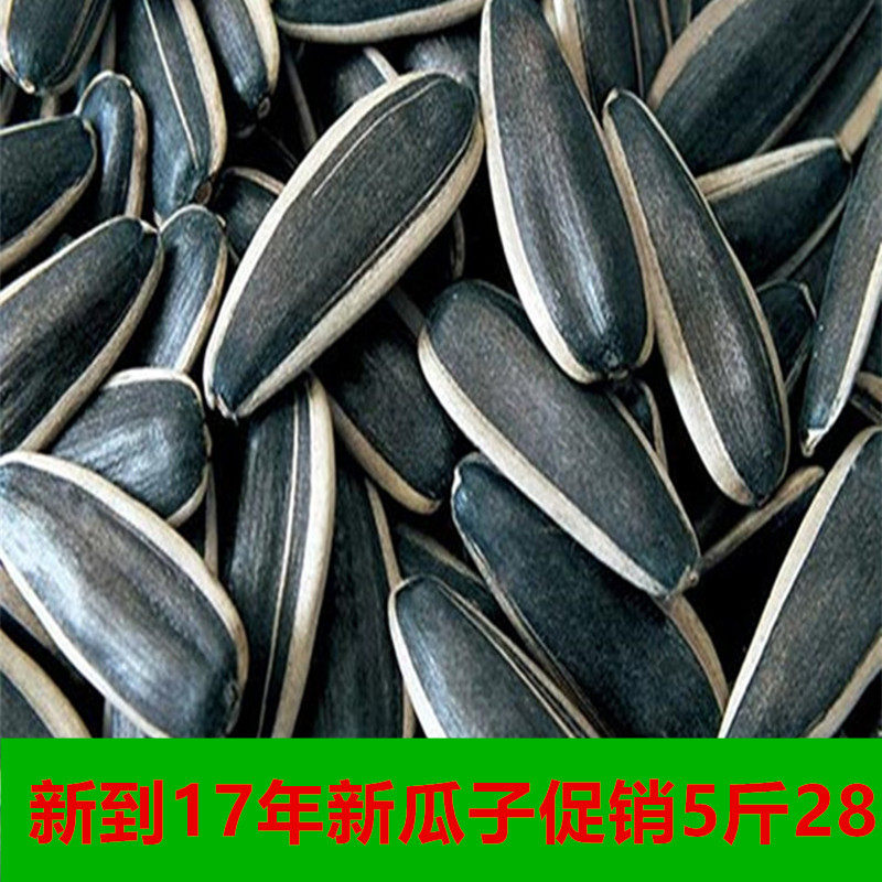 【口口香】生瓜子葵花籽内蒙古五原县大瓜子向日葵花籽5斤装