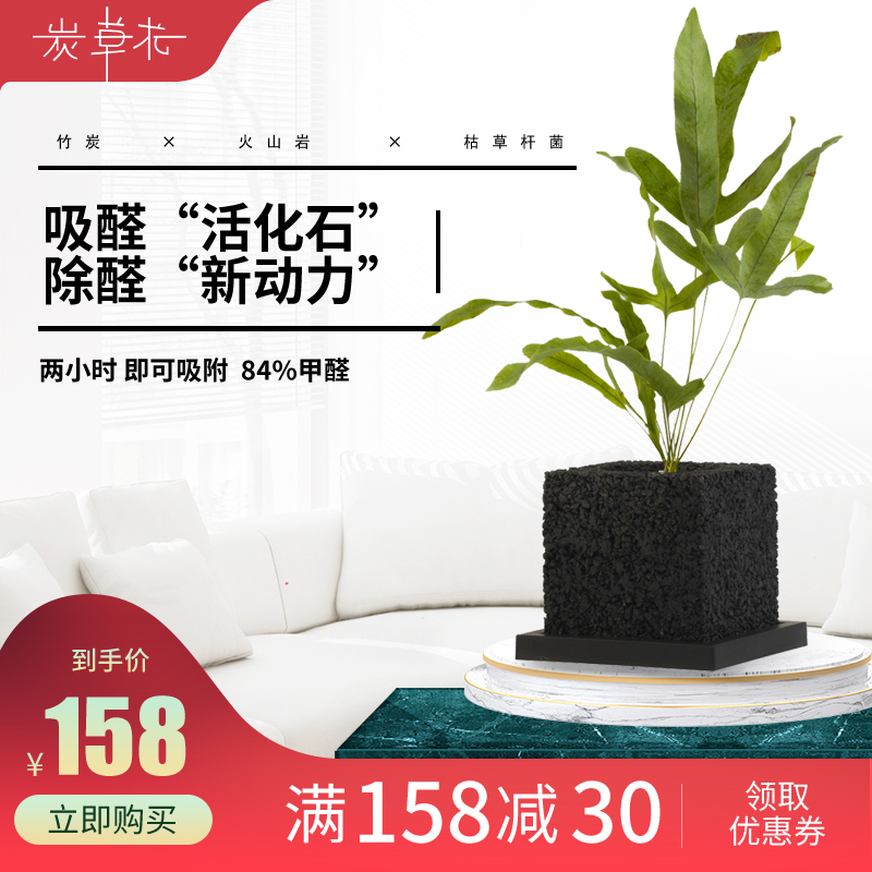 Pachira Succulent Scindapsus Potted plant green Botany Flower Pot Office suction formaldehyde Clean air Green plantin the Flower delivery/Flowers simulation/Plants gardening , Flowers/Potted plants (New) , Plants category - from Buy2taobao.com to provide professional Taobao agent buy service
