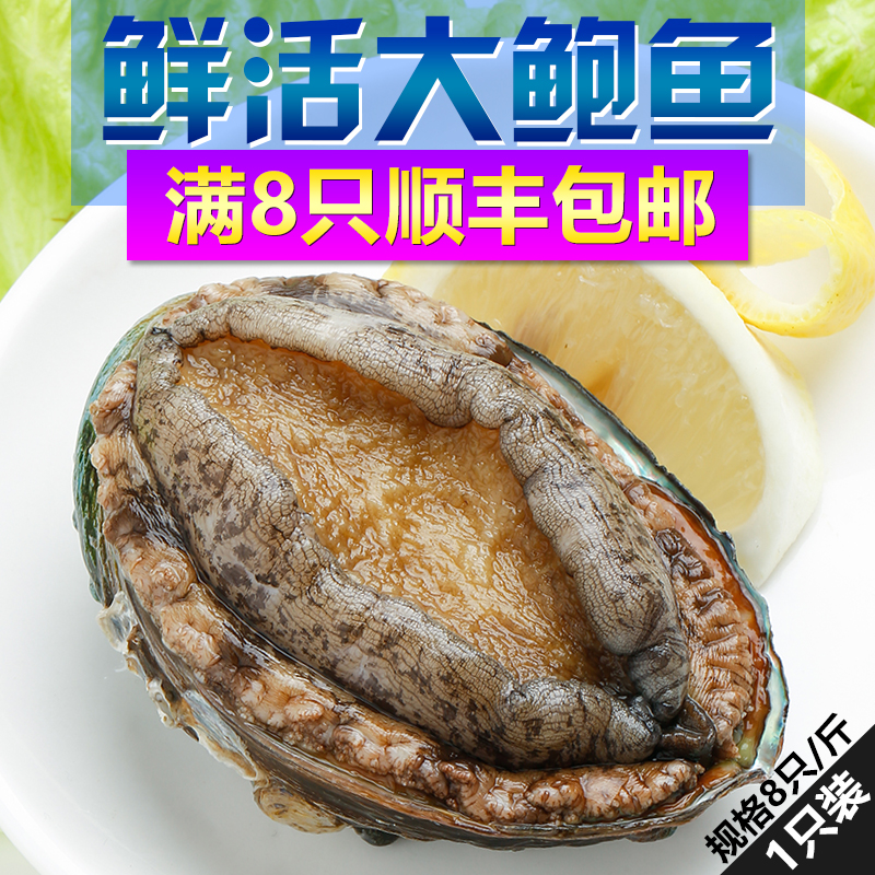 野生新鲜海鲜水产鲜活大鲍鱼正宗青岛崂山海参鲍鱼18.8/只8只包邮在类目 水产肉类/新鲜蔬果/熟食, 海鲜/水产品/制品, 贝类, 鲍鱼中 - 来自Buy2taobao.com提供专业的淘宝代购服务