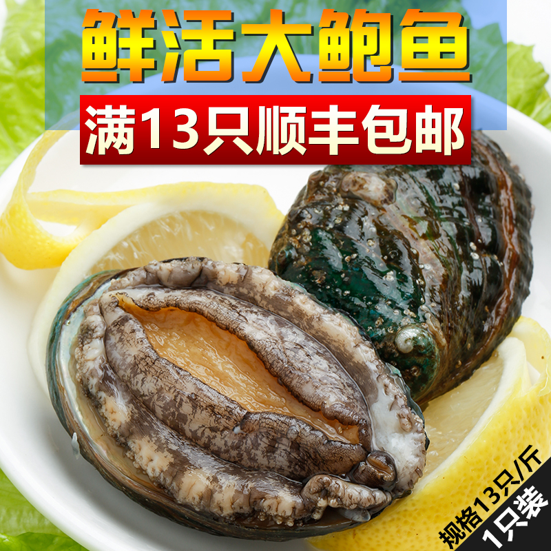 鮮活鮑魚青島撈山正宗野生海鮮水産新鮮海參鮑魚 9.6/只 13只包郵在類目 水產肉類/新鮮蔬果/熟食, 海鮮/水產品/製品, 貝類, 鮑魚中 - 來自Buy2taobao.com提供專業的淘寶代購服務