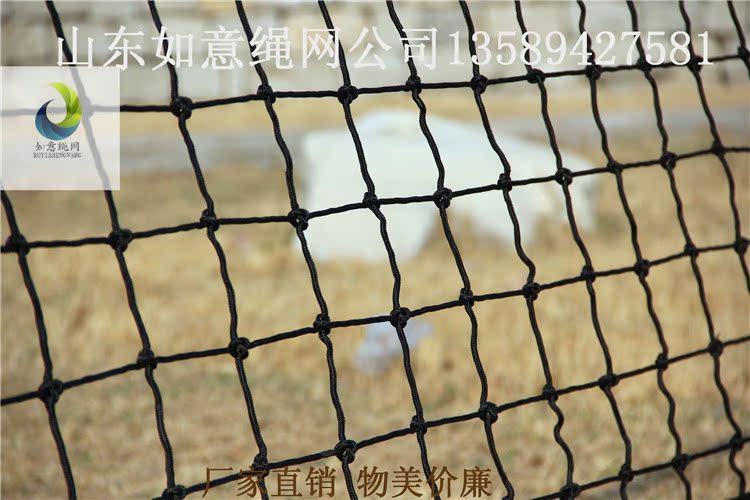 气排球网气排球架网专业排球网配钢丝绳9.5*1米气排球柱网PE排球在类目 运动/瑜伽/健身/球迷用品, 排球, 排球球网中 - 来自Buy2taobao.com提供专业的淘宝代购服务