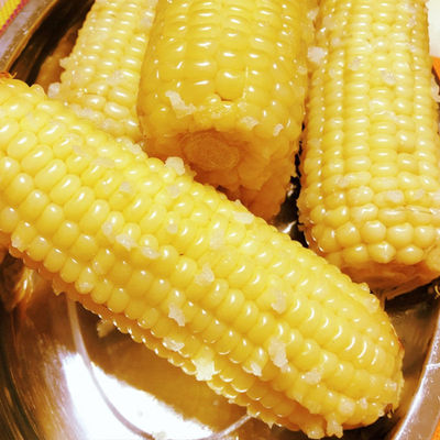 新鲜天勤粒粒净有机小甜糯10支香糯玉米棒黏粘玉米