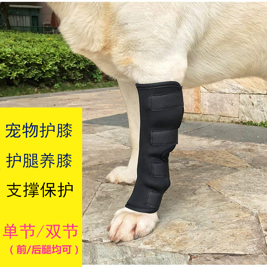 宠物关节炎护腿套护膝固定恢复绑带狗狗腿部支架保护套护膝盖护具|ruв категории животное/Животное питание и принадлежностей, одежды и аксессуаров для домашних животных, носки - от Buy2taobao.com для оказания профессиональной услуги покупки агента Taobao
