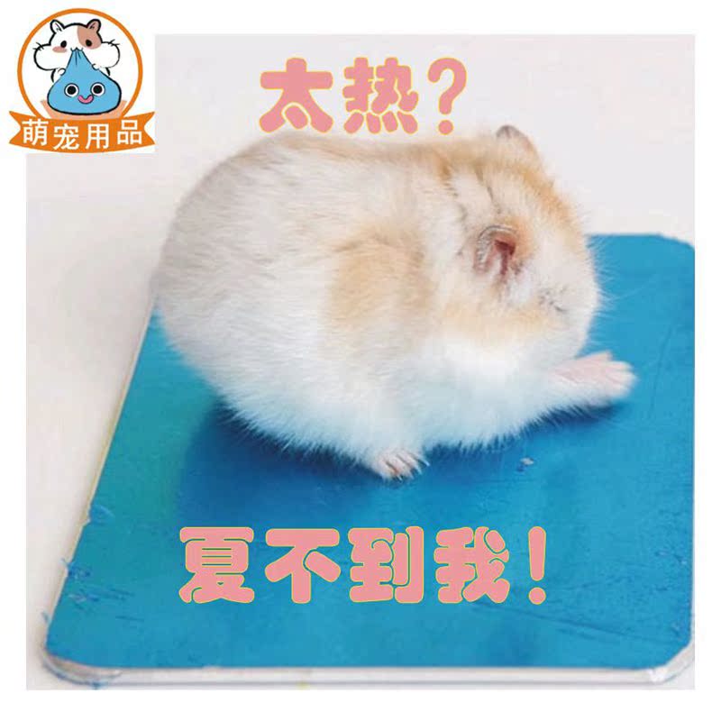倉鼠用品夏天消暑降溫板冰屋冰袋冰窩散熱片金絲熊防暑用品散熱板在類目 寵物/寵物食品及用品, 倉鼠類及其它小寵, 小寵用品(新), 散熱板中 - 來自Buy2taobao.com提供專業的淘寶代購服務