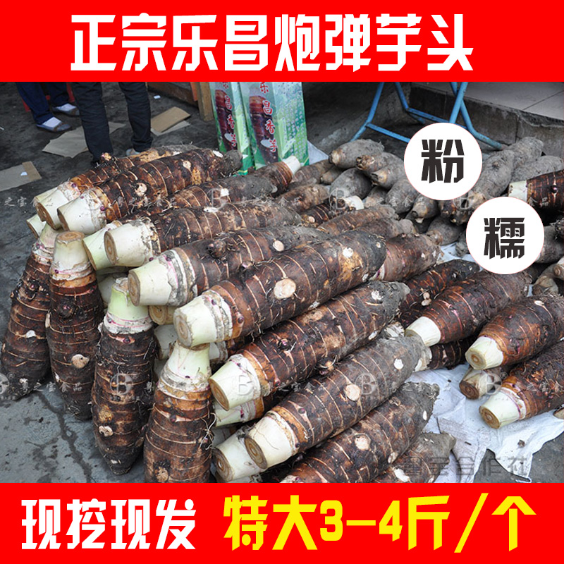Orthodox school Lechang Zhangxi Bullet Taro Large Taro Fresh vegetables Taro flour specialty 3-4 Jinin the Aquatic meat/Fresh fruits and vegetables/Cooked , Fresh vegetables/Vegetable products , Fresh vegetables , Other category - from Buy2taobao.com to provide professional Taobao agent buy service