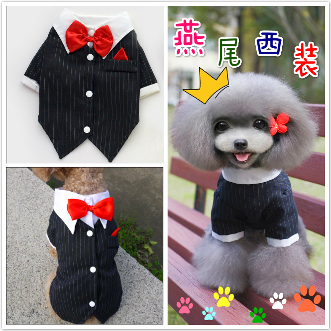 Pets Dovetail Puppy suit man 's suit shirt Teddy Dog clothes Pets Wedding dress Teddy spring clothesin the Pet/Pet food and supplies , Pet apparel and accessories , Pet clothing/Raincoat category - from Buy2taobao.com to provide professional Taobao agent buy service