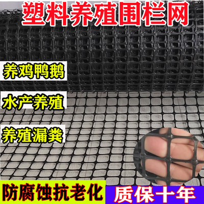 塑料养殖网养鸡围栏网防护网拦鸡网塑料网栅栏黑色胶网育雏漏粪网