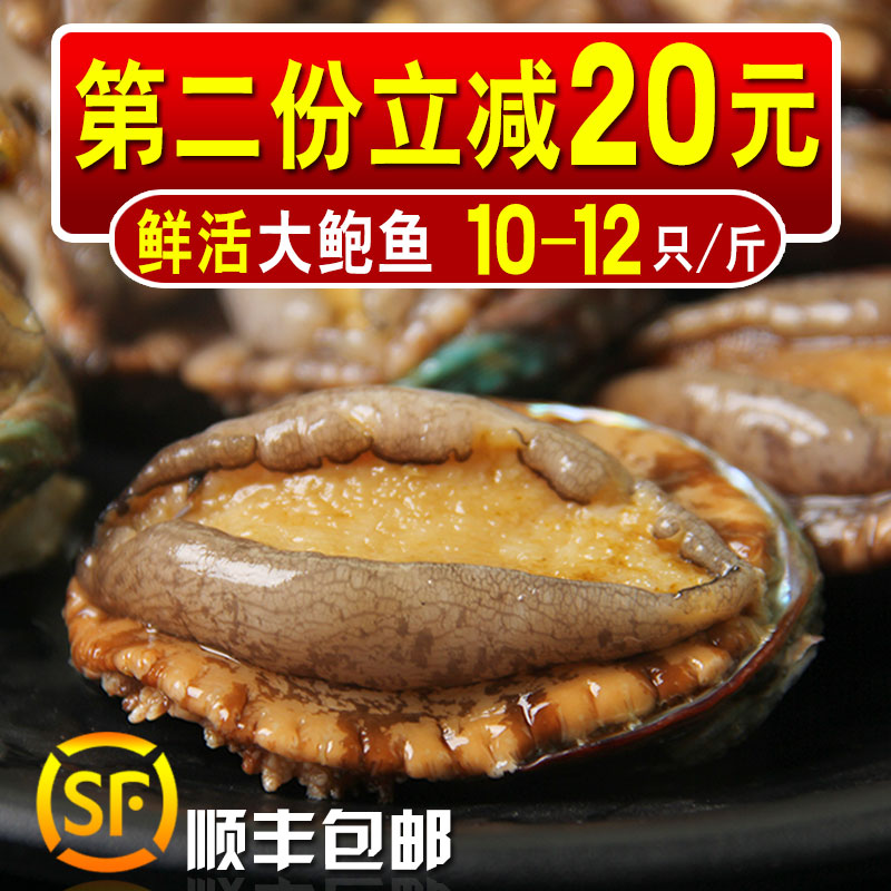 大鲍鱼鲜活大个野生小鲍鱼仔即食黄金鲜鲍鱼新鲜冷冻生鲜海鲜水产|ruв категории водной мясо/свежие фрукты и овощи/еда, морепродукты/водные продукты/изделия, моллюски, абалон - от Buy2taobao.com для оказания профессиональной услуги покупки агента Taobao