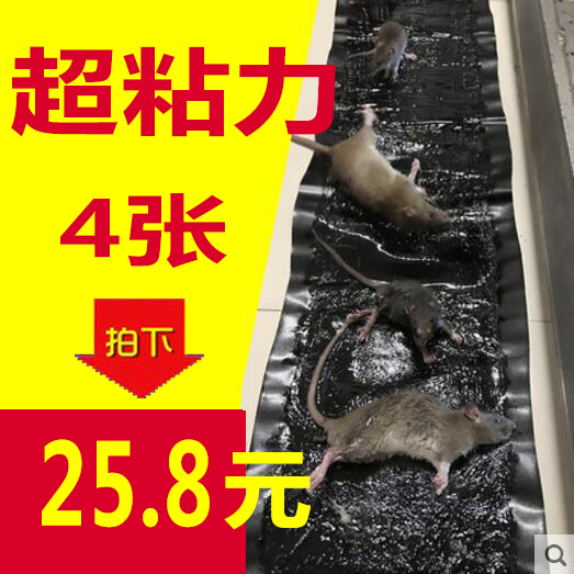 老鼠贴超强力粘鼠板大号抓老鼠神器捕鼠魔毯连续老鼠夹捕鼠器家用在类目 洗护清洁剂/卫生巾/纸/香薰, 驱虫用品, 灭鼠/杀虫剂中 - 来自Buy2taobao.com提供专业的淘宝代购服务