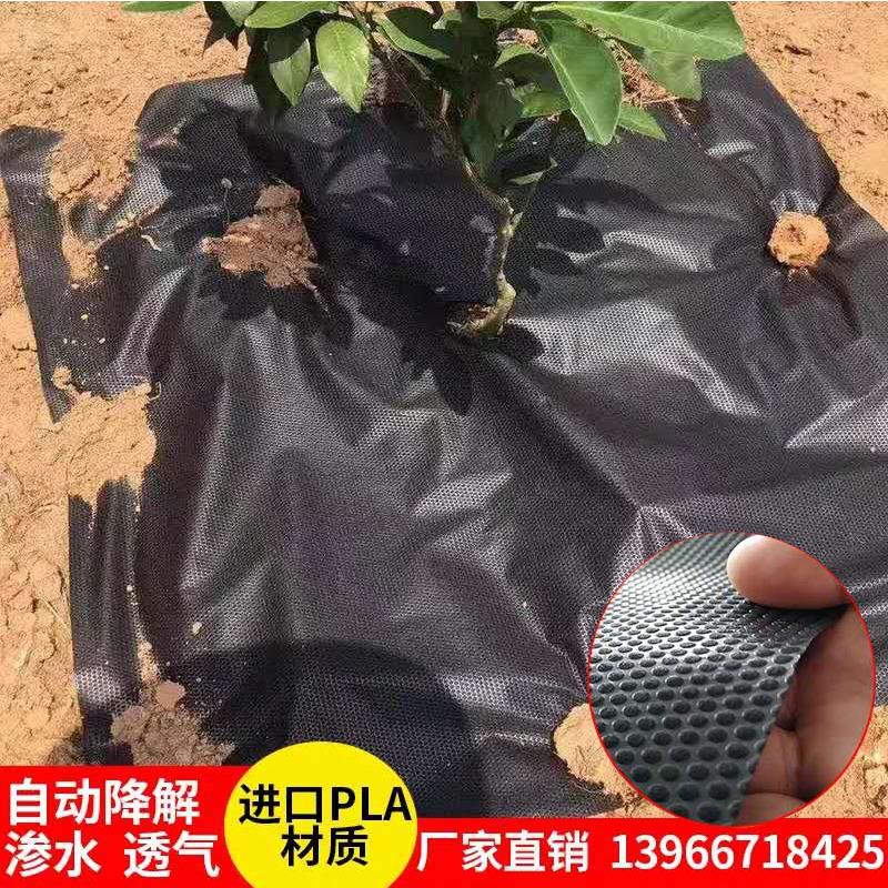 防草布除草布园艺地布除草垫布地膜透气保湿降解生态防草布无纺布|msdalam kategori penghantaran bunga/bunga simulasi/tumbuhan berkebun, Gardening Supplies, Peralatan Perkebunan lain - dari Buy2taobao.com untuk memberikan perkhidmatan ejen Taobao profesional membeli