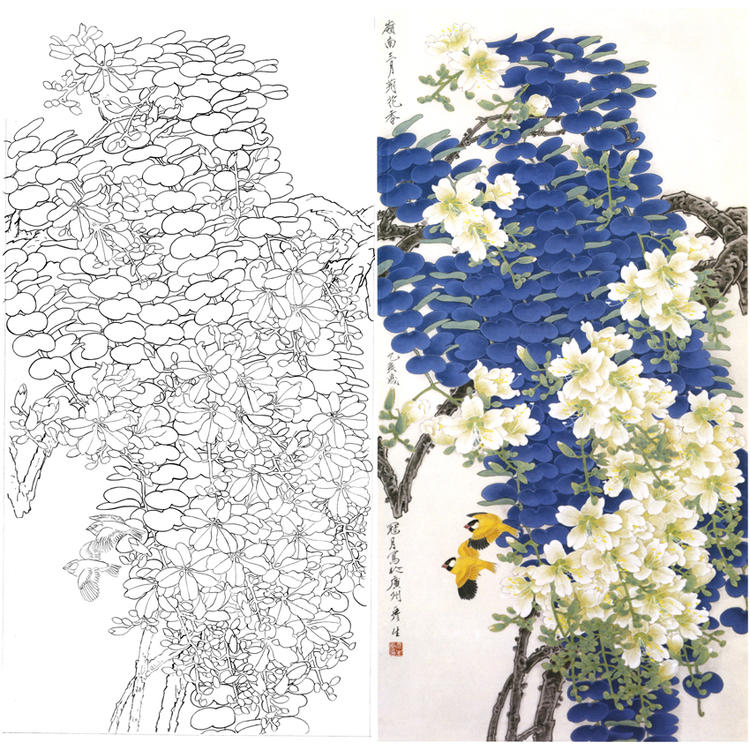 A069 Zhou Yansheng Bird bird Line drawing Manuscript Line drawing. Vertical Banner Flower Bauhinia Printingin the Home accessories , Decorative painting , Traditional Chinese painting category - from Buy2taobao.com to provide professional Taobao agent buy service