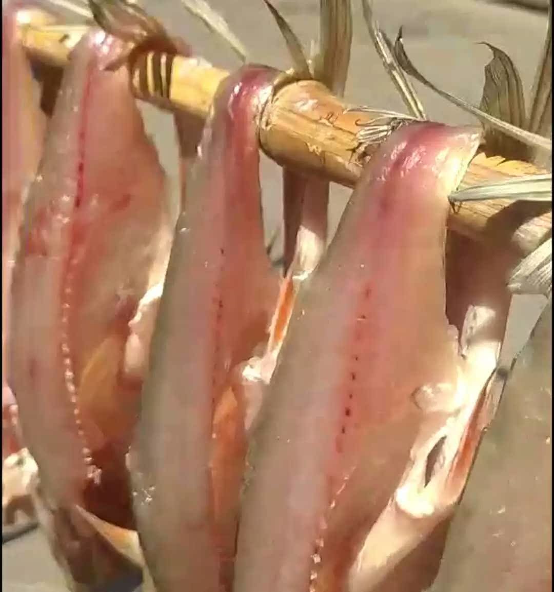 Blossoming Home Dried fishin the Aquatic meat/Fresh fruits and vegetables/Cooked , Seafood/Aquatic/Product , Fish products , Dried fish category - from Buy2taobao.com to provide professional Taobao agent buy service