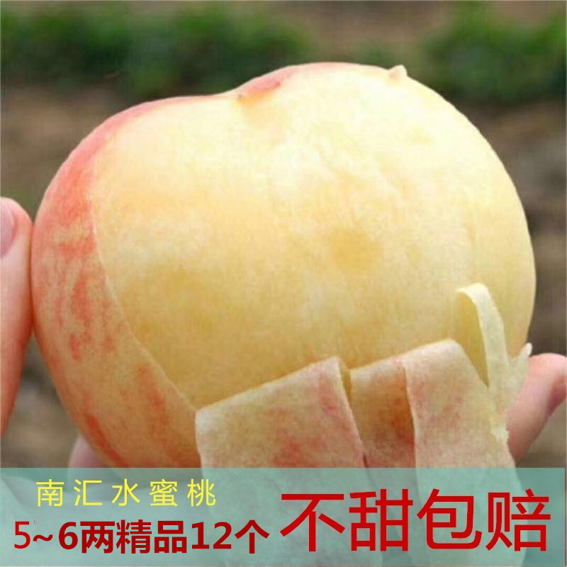 上海南汇水蜜桃5~6两*12个桃子新鲜水果大团蜜露 PK阳山水蜜桃|ruв категории водной мясо/свежие фрукты и овощи/еда, свежие фрукты, персик - от Buy2taobao.com для оказания профессиональной услуги покупки агента Taobao