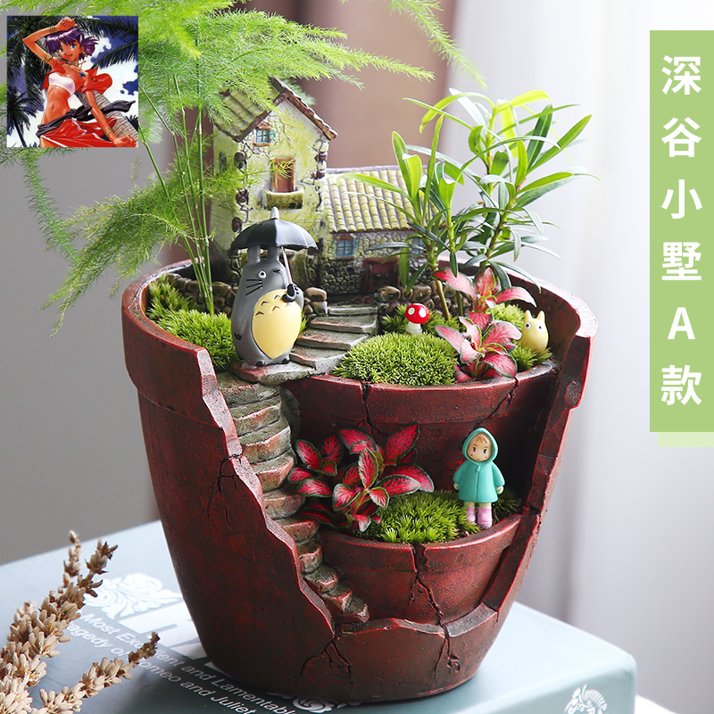DIY originality lovely Totoro Garden Micro Landscape Mini Small potted Eco-Bottle Girlfriend Confidante A birthday presentin the Flower delivery/Flowers simulation/Plants gardening , Creative mini-plant category - from Buy2taobao.com to provide professional Taobao agent buy service