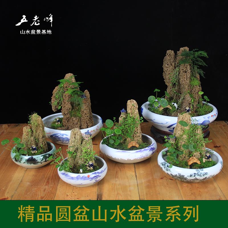 。五老峰擺件上水石原石假山吸水石山水盆景奇石天然帶植物整套包在類目 鮮花速遞/花卉仿真/綠植園藝, 園藝用品, 其它園藝用品中 - 來自Buy2taobao.com提供專業的淘寶代購服務