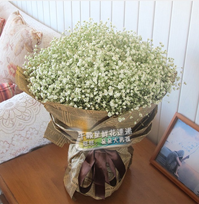 致青春鮮花 鮮花快遞北京 海澱花店 生日鮮花北京朝陽區 滿天星在類目 鮮花速遞/花卉仿真/綠植園藝, 鮮花速遞(同城)中 - 來自Buy2taobao.com提供專業的淘寶代購服務