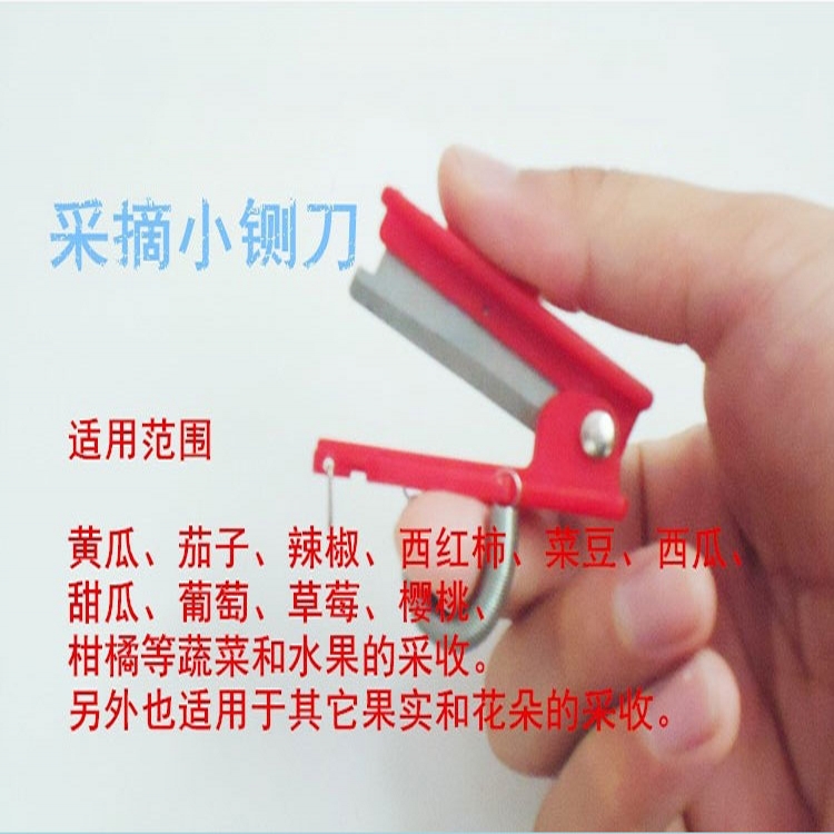 大棚蔬菜茄子采摘工具黄瓜豆角葡萄采摘器樱桃西瓜甜瓜采摘戒指刀在类目 农机/农具/农膜, 农业工具, 其它农用工具中 - 来自Buy2taobao.com提供专业的淘宝代购服务