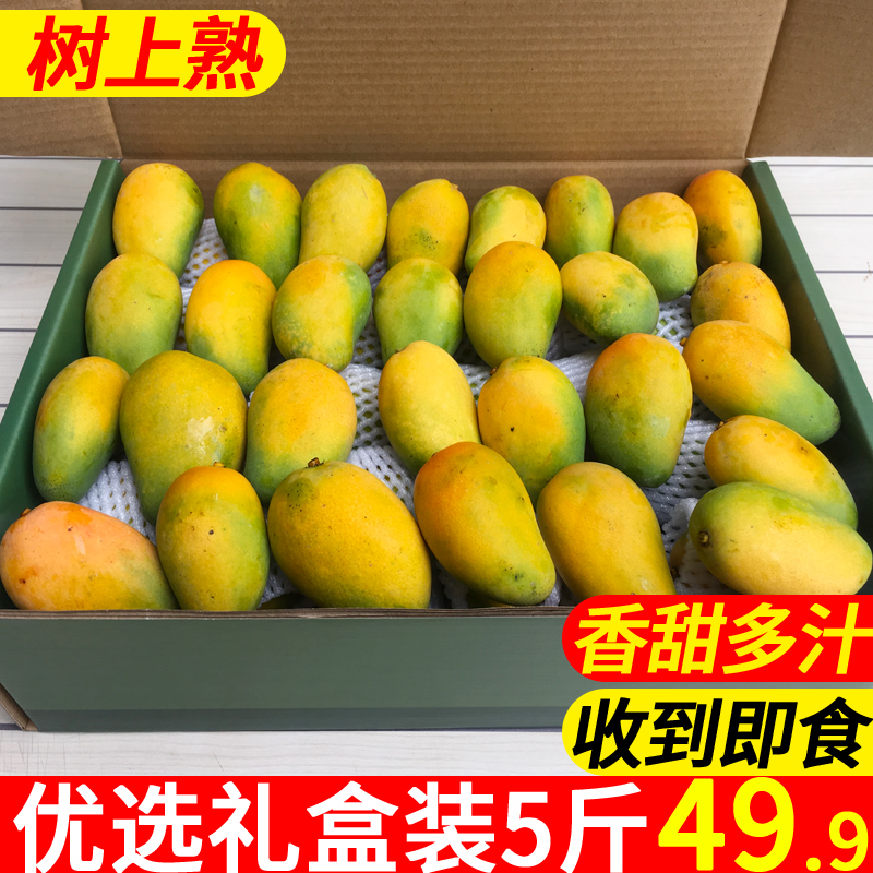 呀诺达 礼盒装海南三亚小台芒果新鲜当季水果包邮5斤树上熟香甜在类目 水产肉类/新鲜蔬果/熟食, 新鲜水果, 芒果中 - 来自Buy2taobao.com提供专业的淘宝代购服务