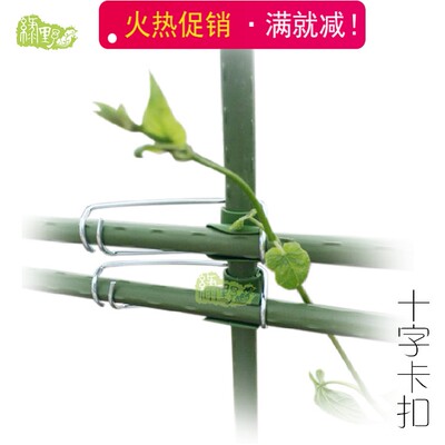 新品推荐 铁质十字夹大棚支柱爬藤支柱盆栽花支架连接园艺DIY配件