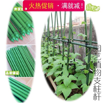新品推荐 植物盆栽攀爬爬藤铁艺花架 阳台菜园支柱杆 DIY园艺配件