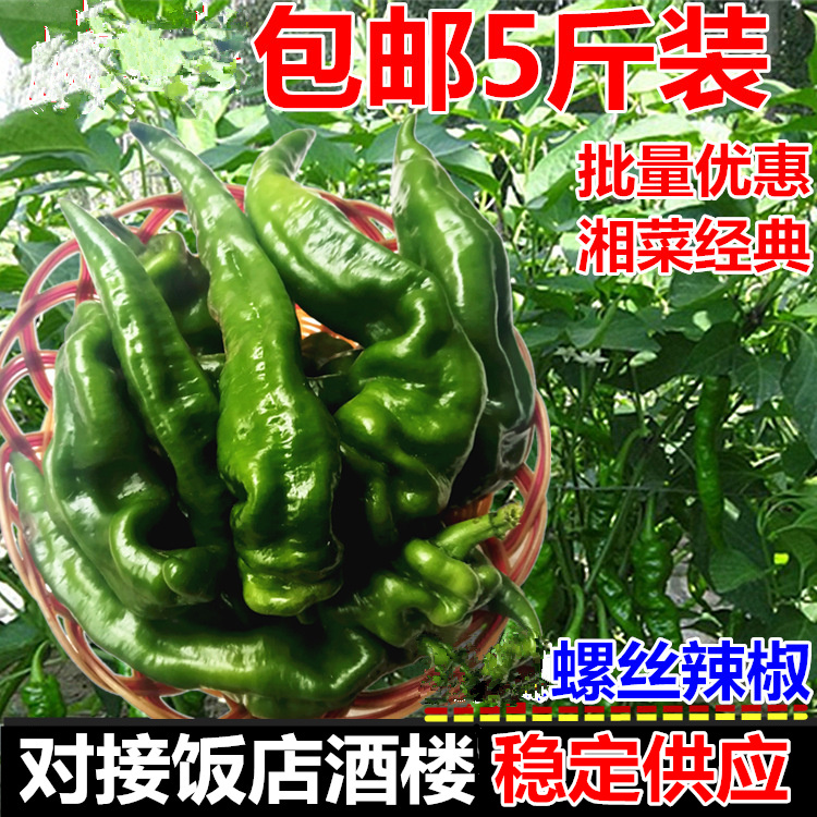 新鲜螺丝辣椒5斤装青辣椒饭店湘菜原料食材农家自种包邮非红辣椒|ruв категории водной мясо/свежие фрукты и овощи/еда, свежие овощи/овощной продукции, свежие овощи, другие - от Buy2taobao.com для оказания профессиональной услуги покупки агента Taobao